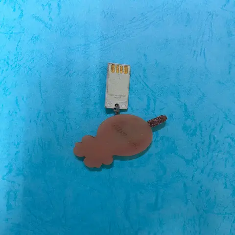 蔡小姐 | USB隨身碟格式化要求